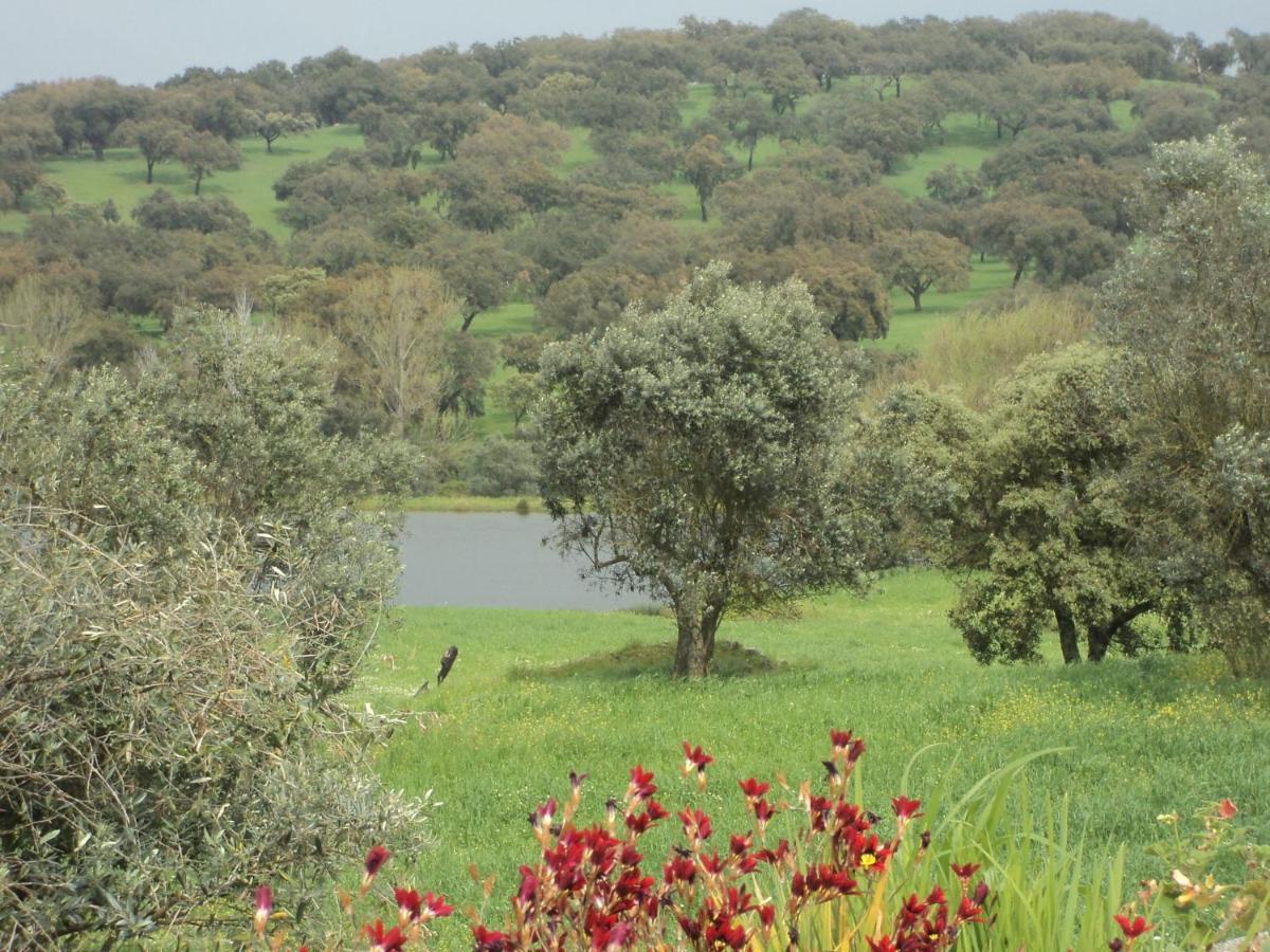Farmhouse In Montemor O Novo With Swimming Pool Exterior photo